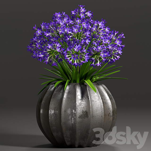 Plant – 8 3ds Max - thumbnail 2