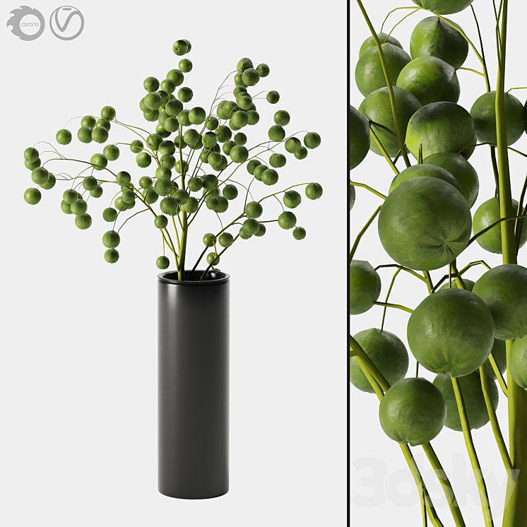 plant indoor 05 3DS Max Model - thumbnail 1