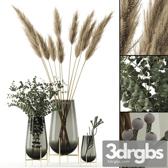 Plants in Echasse Vases 3dsmax Download - thumbnail 1