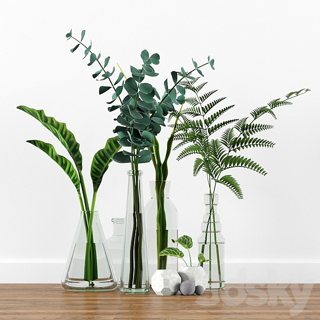 Plants tree indoor 2 3DSMax File - thumbnail 1