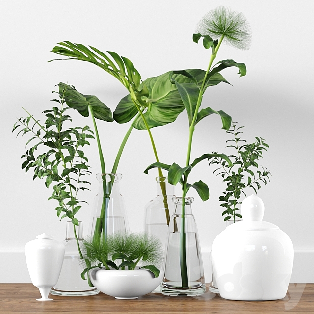 Plants tree indoor 3DSMax File - thumbnail 1