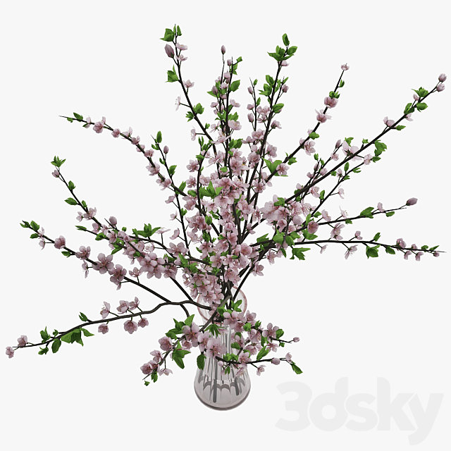 Plum blossom 02 3DS Max Model - thumbnail 3