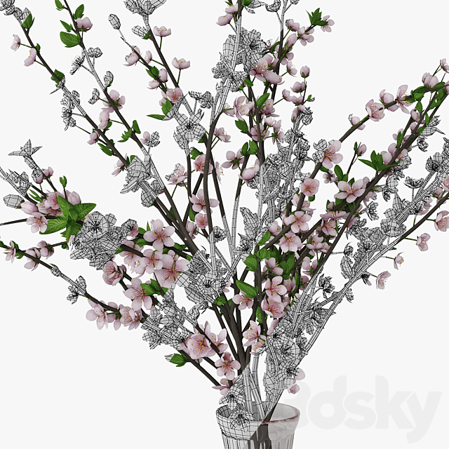 Plum blossom 02 3DS Max Model - thumbnail 5