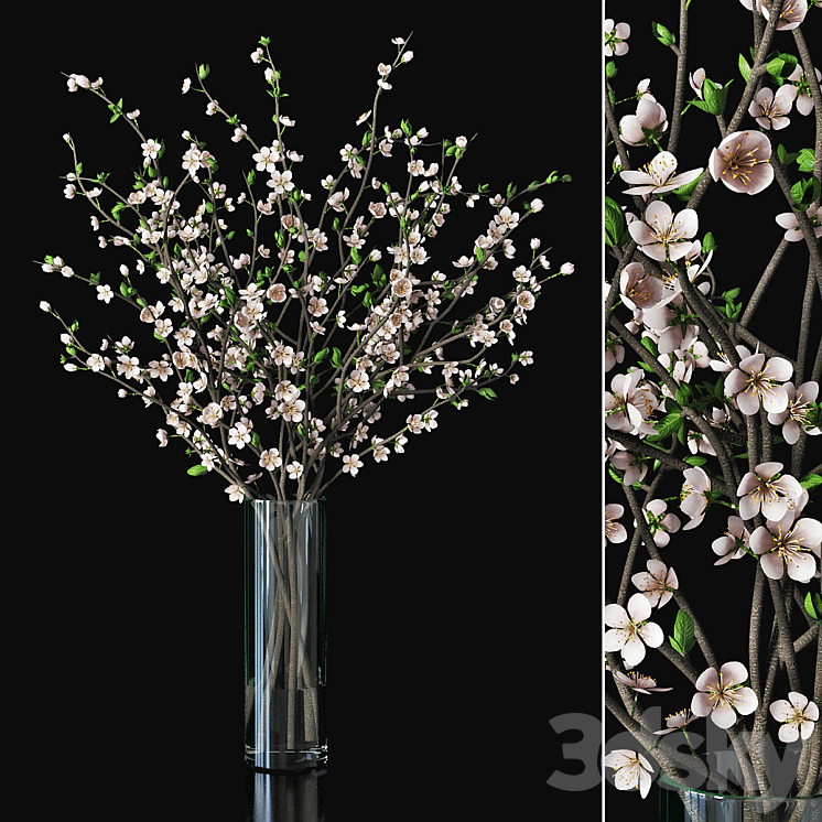 Plum blossom 03 3DS Max - thumbnail 1