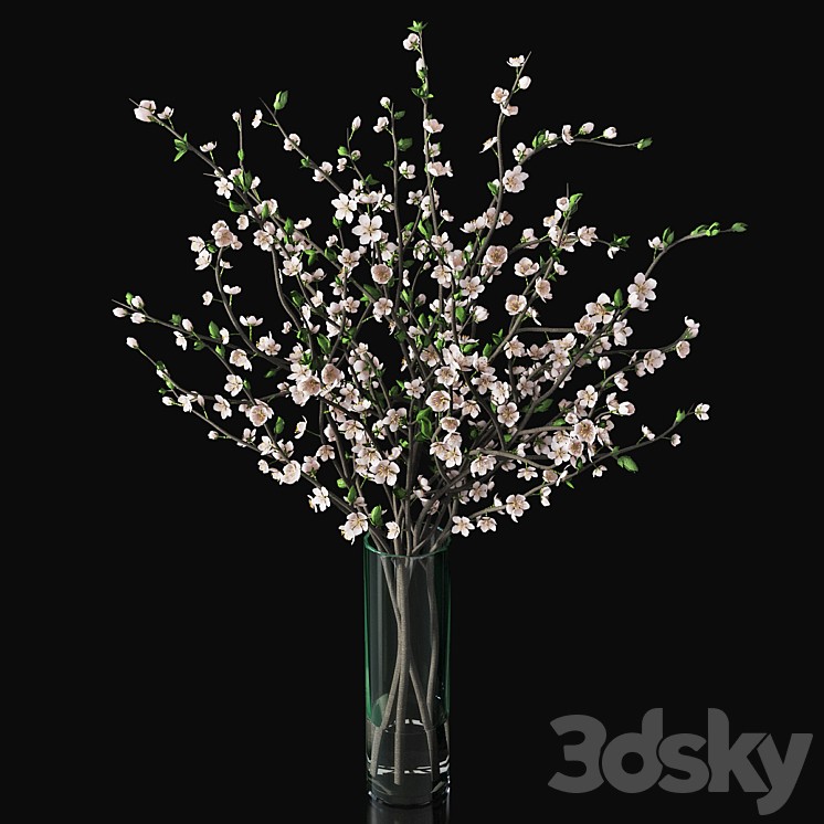 Plum blossom 03 3DS Max - thumbnail 2