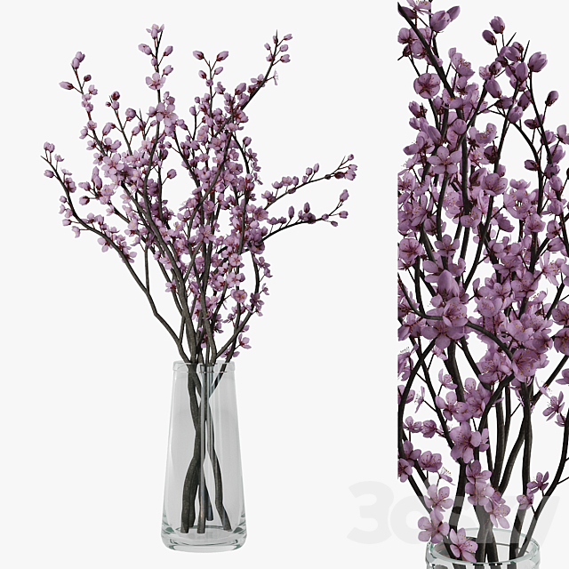 Plum blossom 3ds Max - thumbnail 1