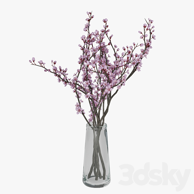 Plum blossom 3ds Max - thumbnail 2