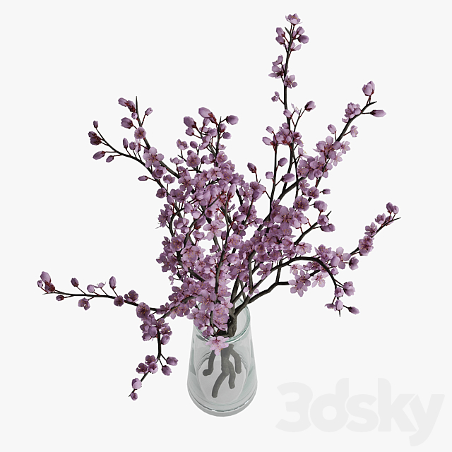 Plum blossom 3ds Max - thumbnail 3