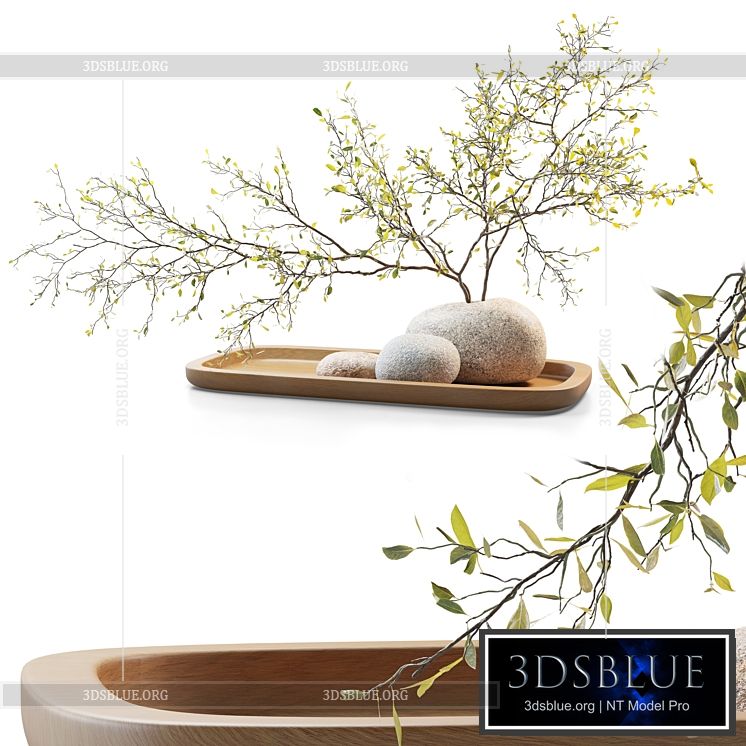 Plum branch in a stone vase 3DS Max - thumbnail 3