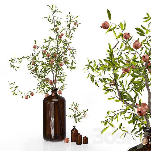 Pomegranate branches in pharmacy bottles 3ds Max - thumbnail 1