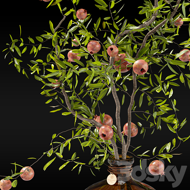 Pomegranate branches in pharmacy bottles 3ds Max - thumbnail 2