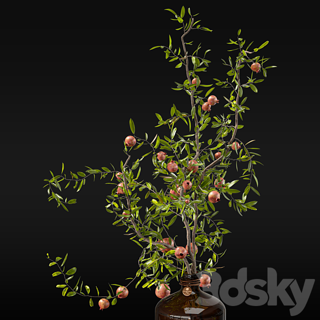 Pomegranate branches in pharmacy bottles 3ds Max - thumbnail 3