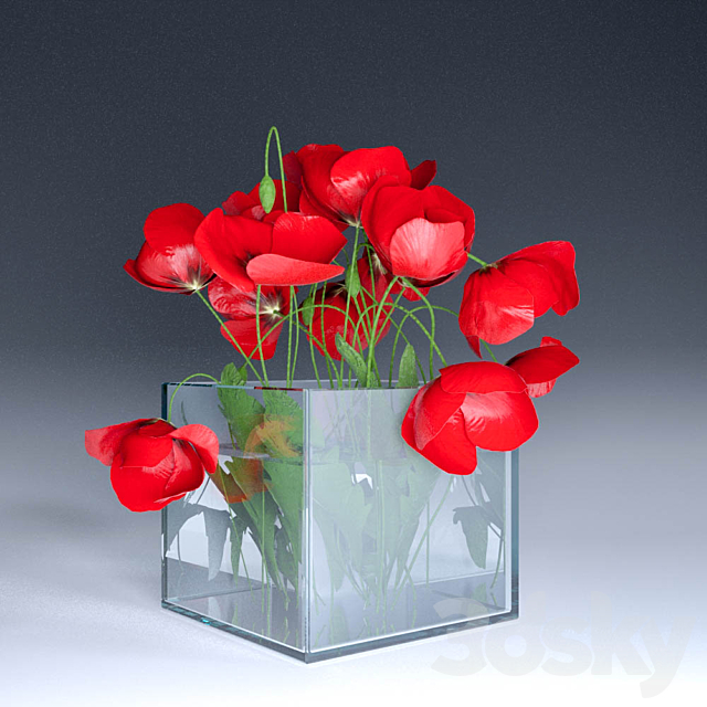 Poppies 3DS Max Model - thumbnail 1