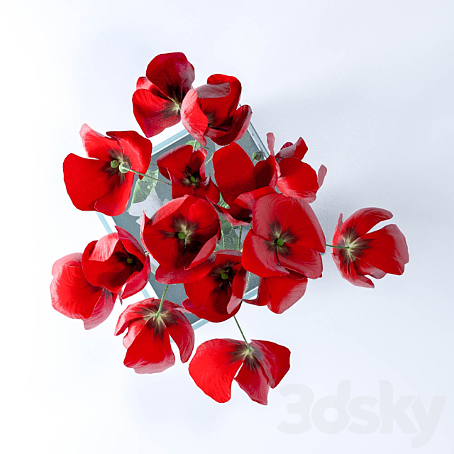 Poppies 3DS Max Model - thumbnail 2