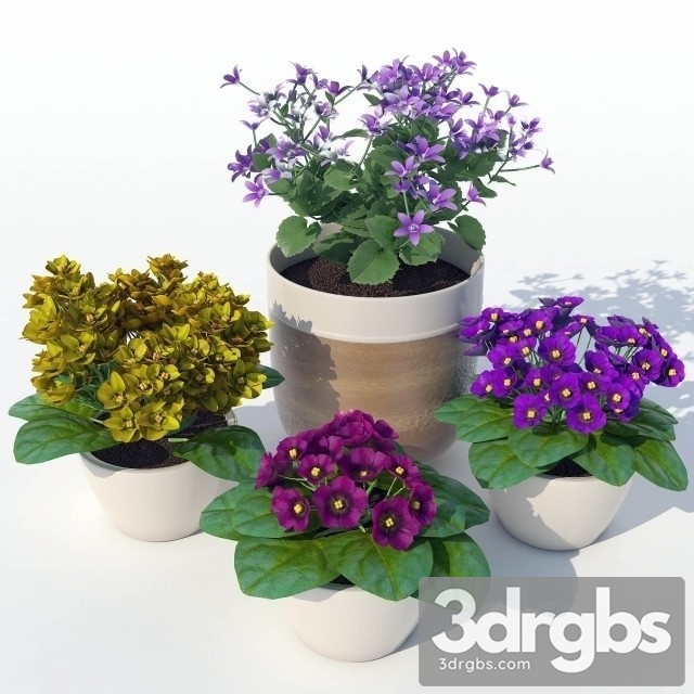 Primrose Bouquet 3dsmax Download - thumbnail 1