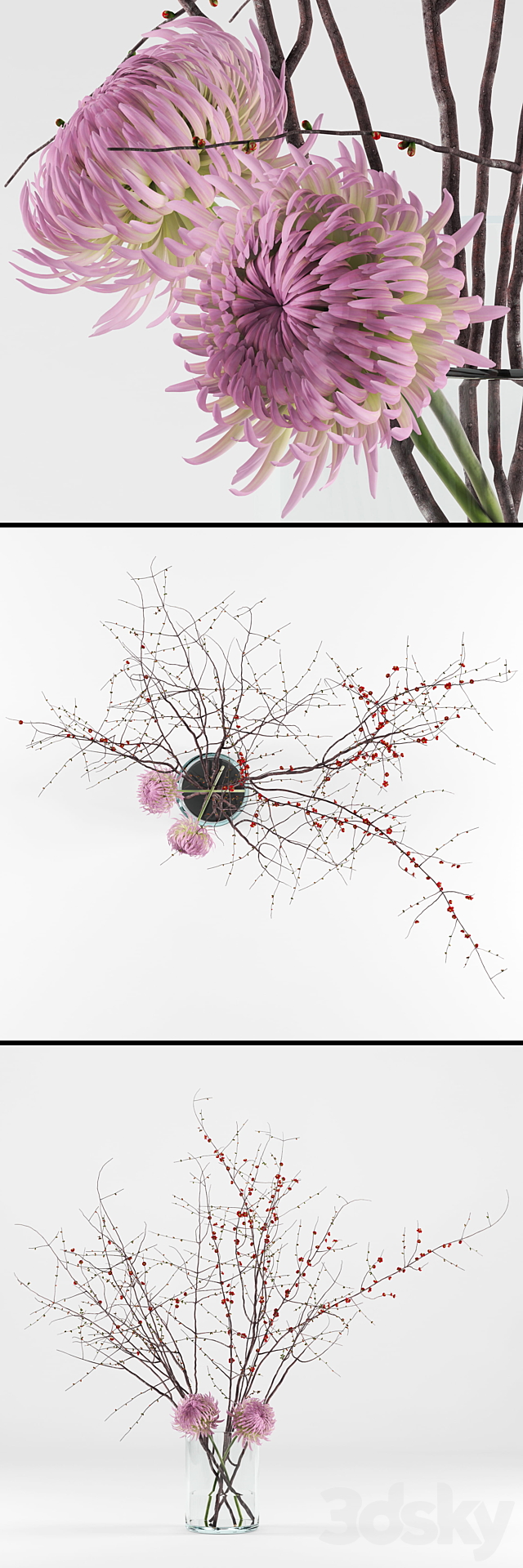 Prunus branches and chrysanthemums 3DSMax File - thumbnail 2