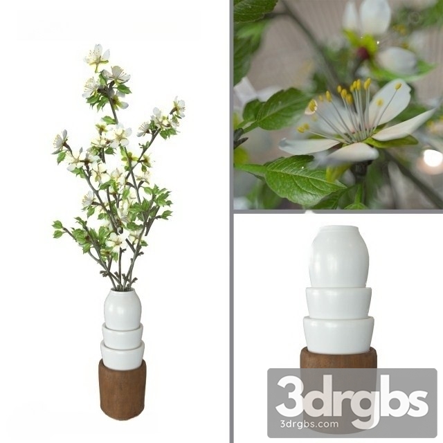 Prunus Domestica 3dsmax Download - thumbnail 1