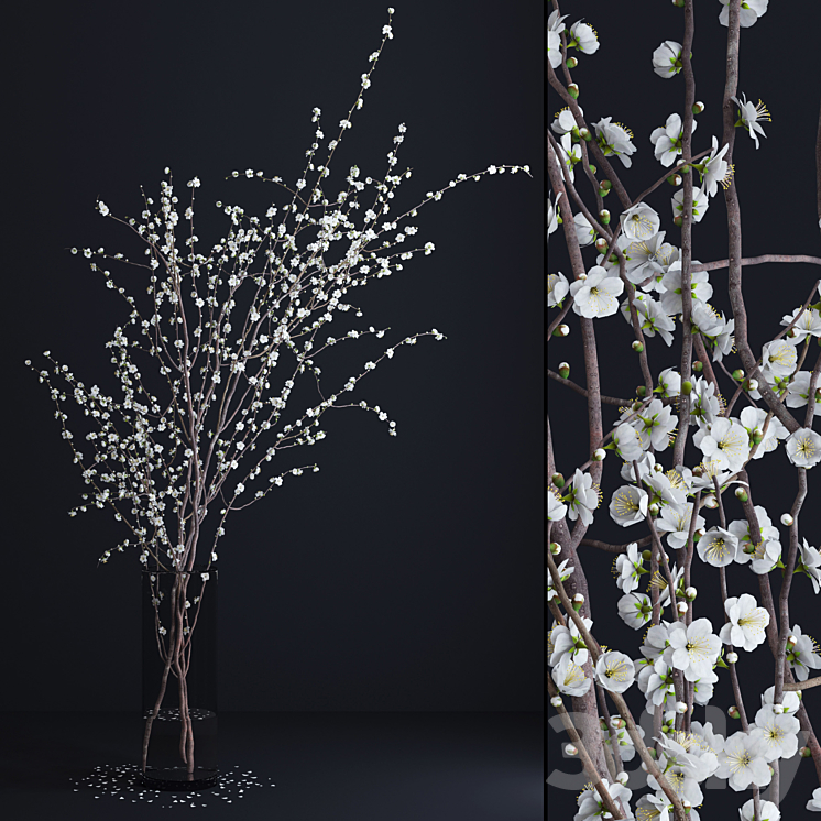 Prunus White Blossom 3DS Max - thumbnail 1