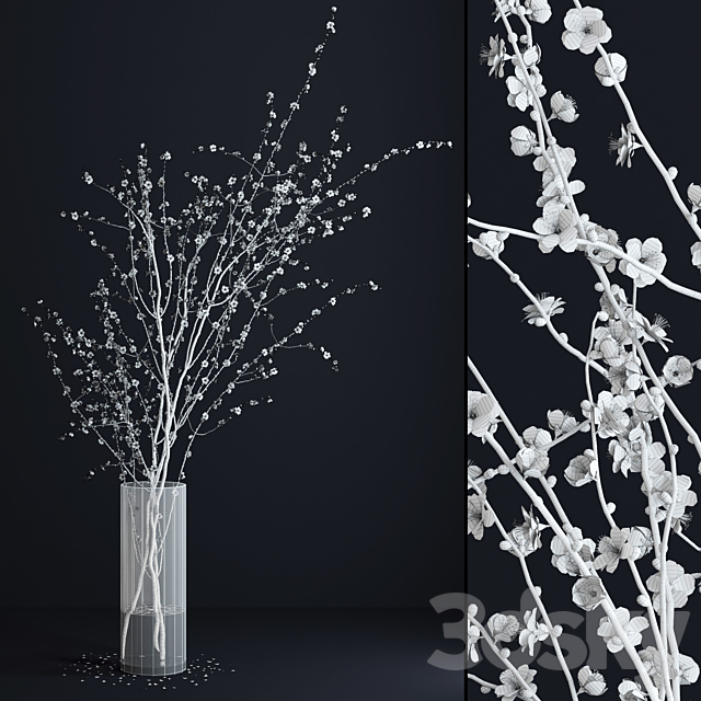 Prunus White Blossom 3DSMax File - thumbnail 3