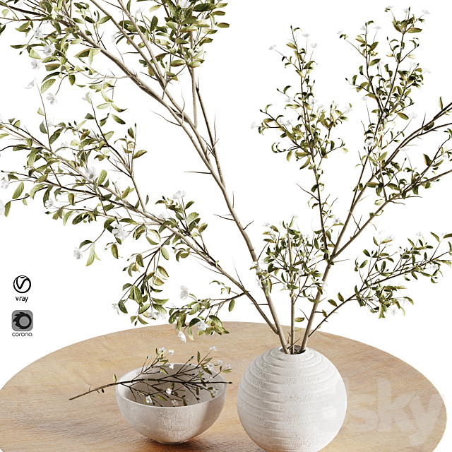 Pulm Branch in White Vase Set3 3DS Max Model - thumbnail 2