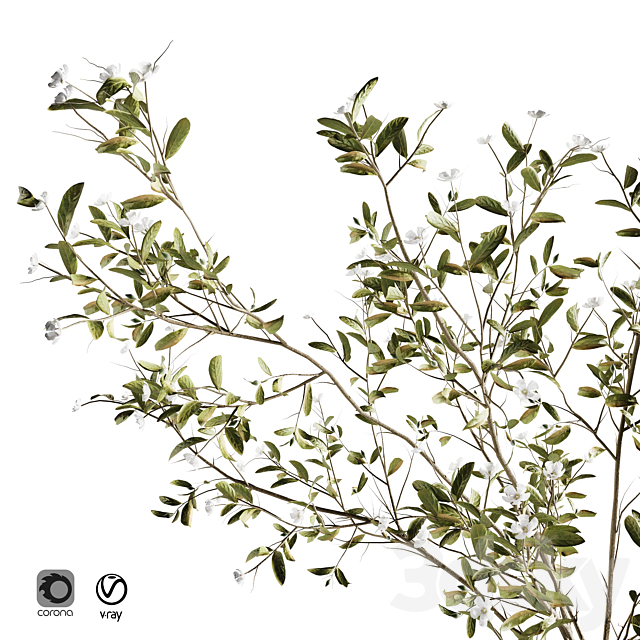 Pulm Branch in White Vase Set3 3DS Max Model - thumbnail 3