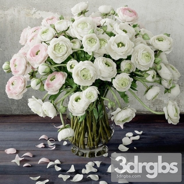 Ranunculus Bouquet 2 3dsmax Download - thumbnail 1