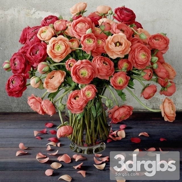 Ranunculus Bouquet 3dsmax Download - thumbnail 1