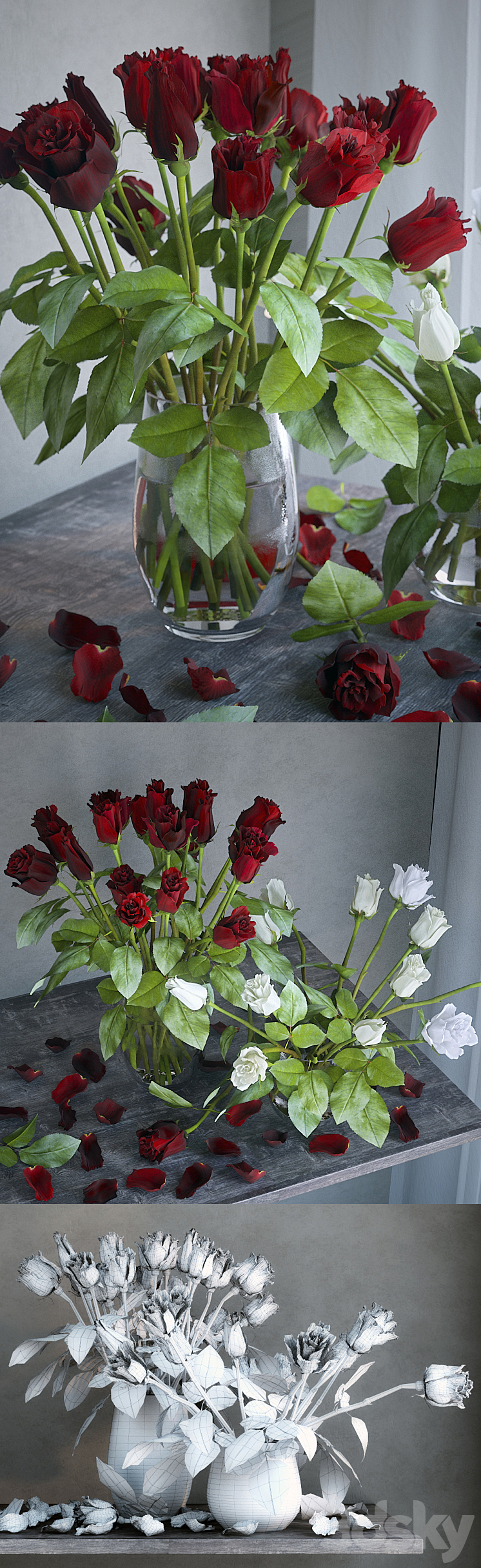 Red and white roses 3DS Max - thumbnail 2