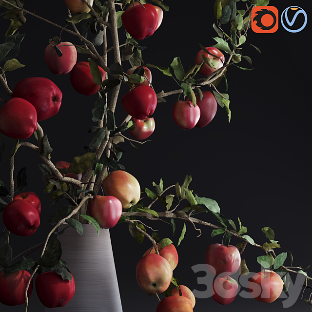 Red Cherry tomato apple branches Dry leaves Vase 3DSMax File - thumbnail 3