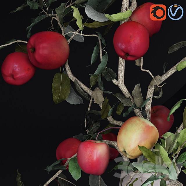 Red Cherry tomato apple branches Dry leaves Vase 3DSMax File - thumbnail 4