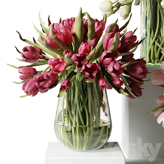 Red pink and white tulips in glass vases 3DS Max Model - thumbnail 2