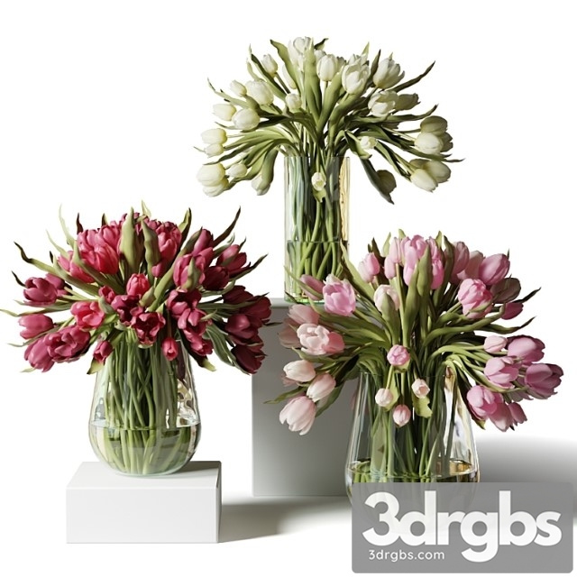 Red Pink and White Tulips in Glass Vases 3dsmax Download - thumbnail 1