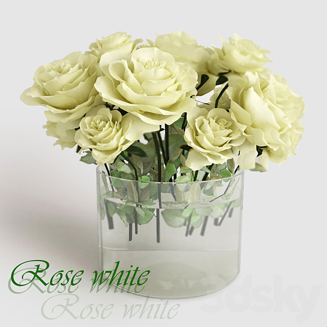 Rose white 3DSMax File - thumbnail 1