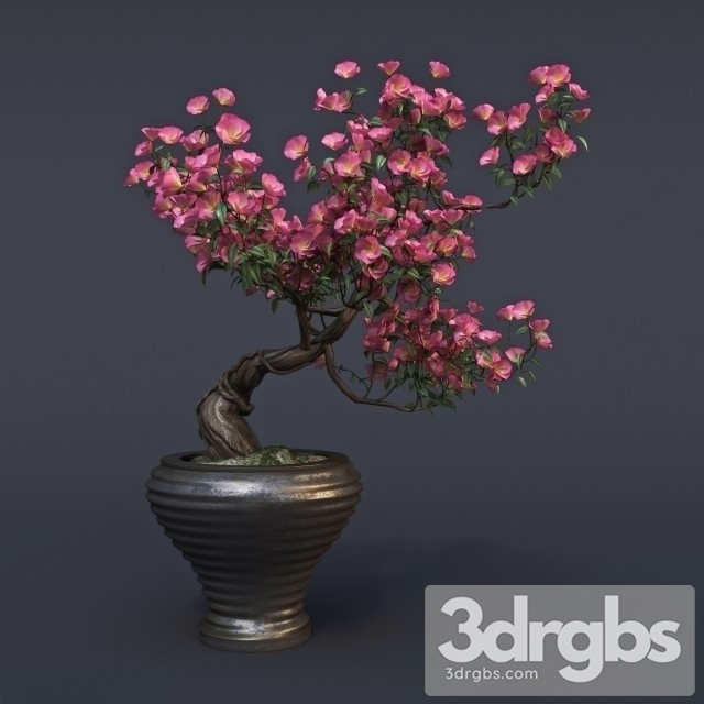 Sakura Bouquet 3dsmax Download - thumbnail 1