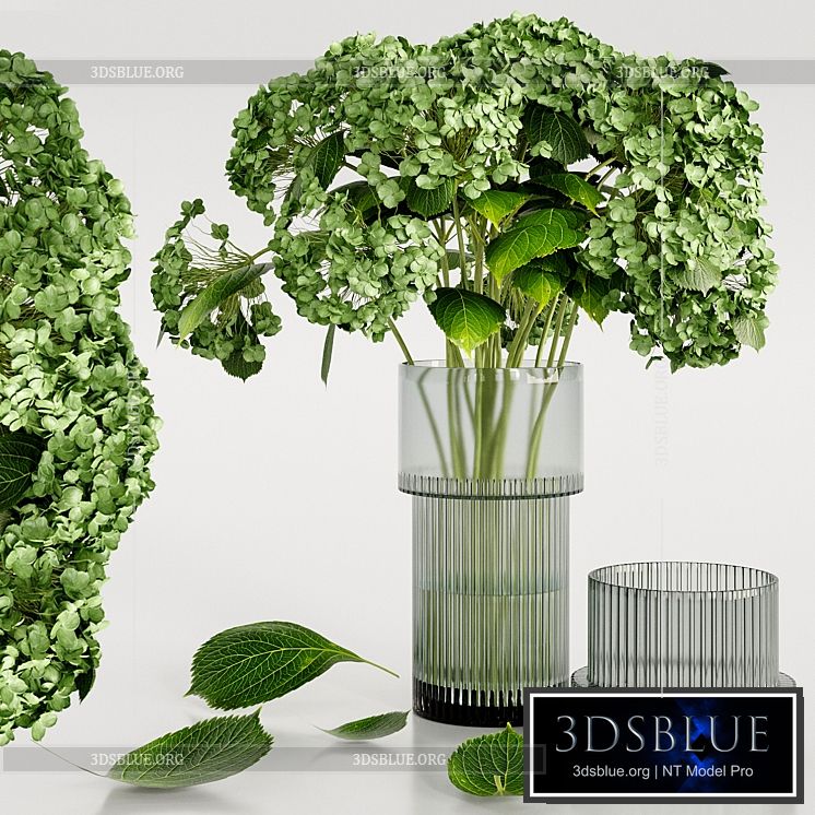 Set bouquet Hydrangea 3DS Max - thumbnail 3