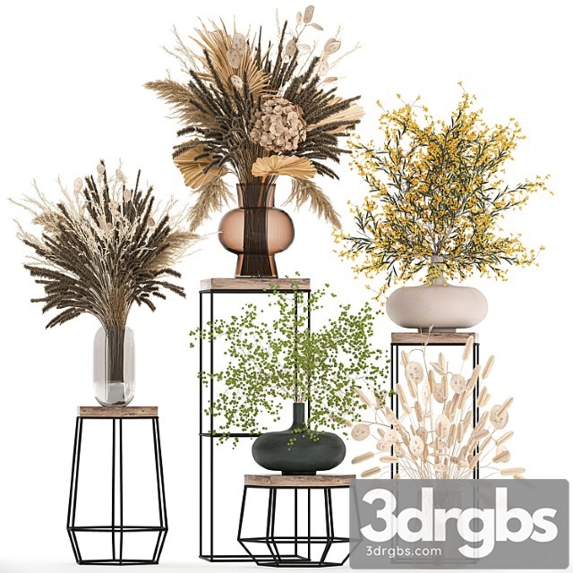 Set of Bouquets of Dried Flowers in Vases for Decor on Shelves Branches Pampas Grass 216 3dsmax Download - thumbnail 1