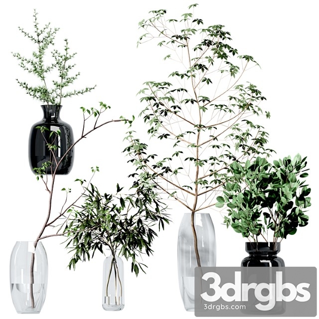 Set of branches in vases - thumbnail 1