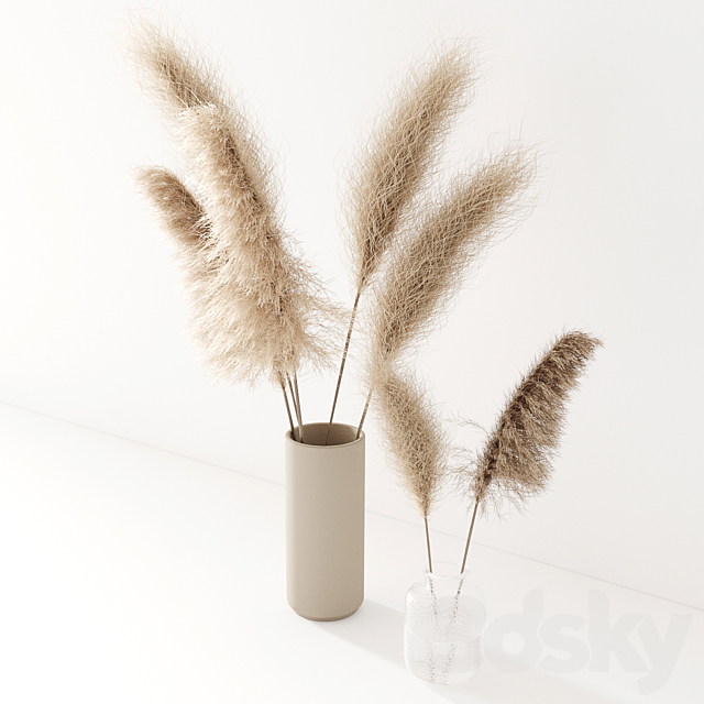 Set of pampas in vase 3DS Max Model - thumbnail 2