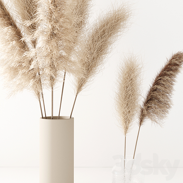 Set of pampas in vase 3DS Max Model - thumbnail 4