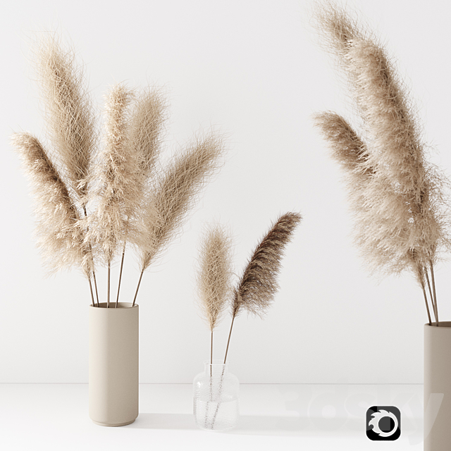 Set of pampas in vase 3DSMax File - thumbnail 1