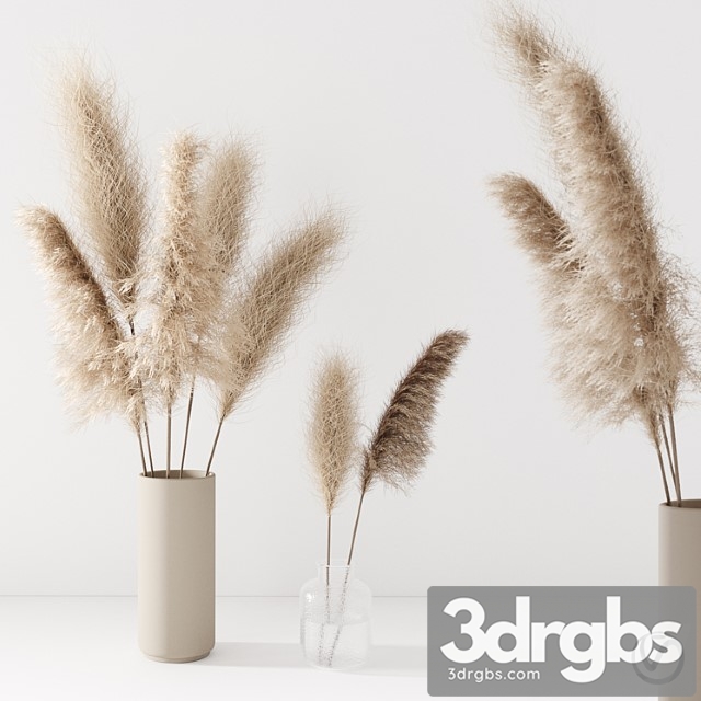 Set of pampas in vase - thumbnail 1