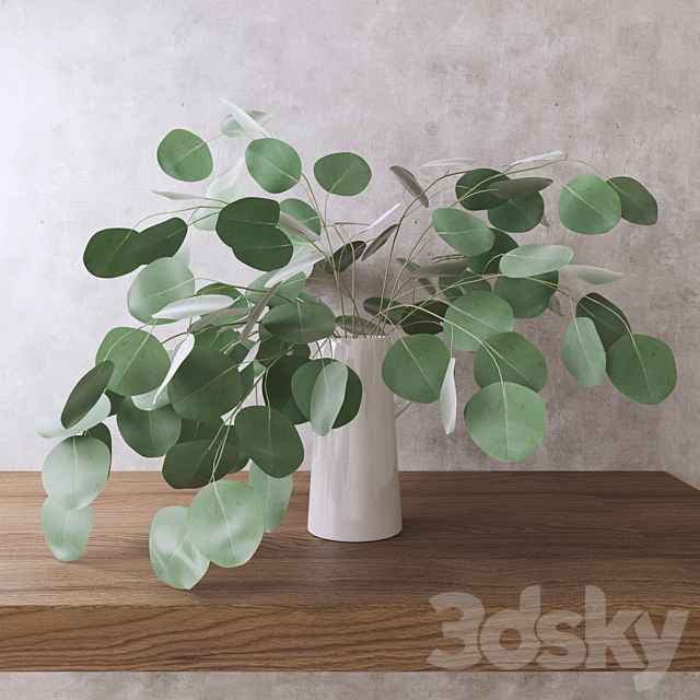 Silver Dollar Eucalyptus 3DSMax File - thumbnail 1