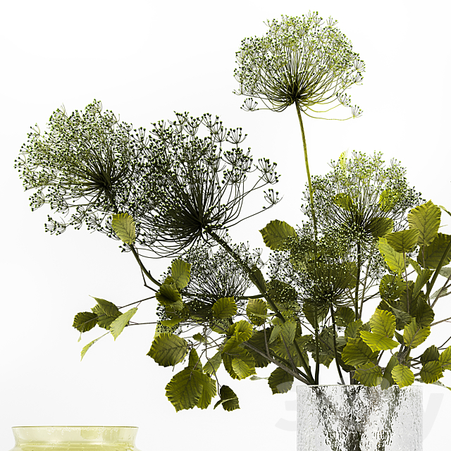 Spring bouquet of green flowers in a glass vase ikea. ikea with hogweed. branches. leaves. 250 3DSMax File - thumbnail 4