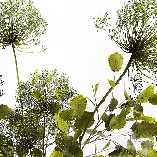 Spring bouquet of green flowers in a glass vase ikea. ikea with hogweed. branches. leaves. 250 3DSMax File - thumbnail 6