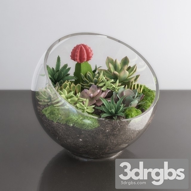 Succulents Bouquet 3dsmax Download - thumbnail 1