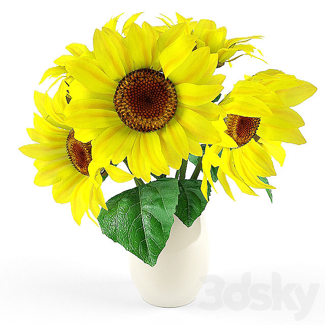 sunflower 3ds Max - thumbnail 1