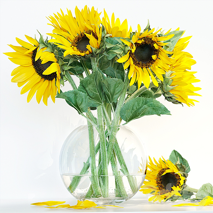 Sunflower1 3DS Max - thumbnail 1