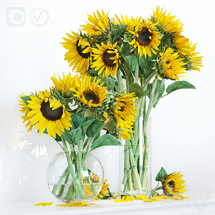 Sunflower1 3DS Max - thumbnail 2