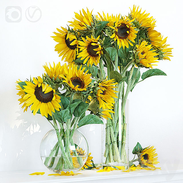 Sunflower1 3DSMax File - thumbnail 2