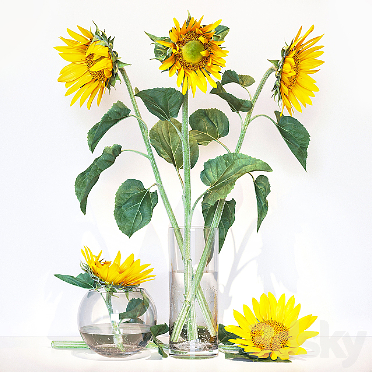 Sunflower2 3DS Max - thumbnail 1